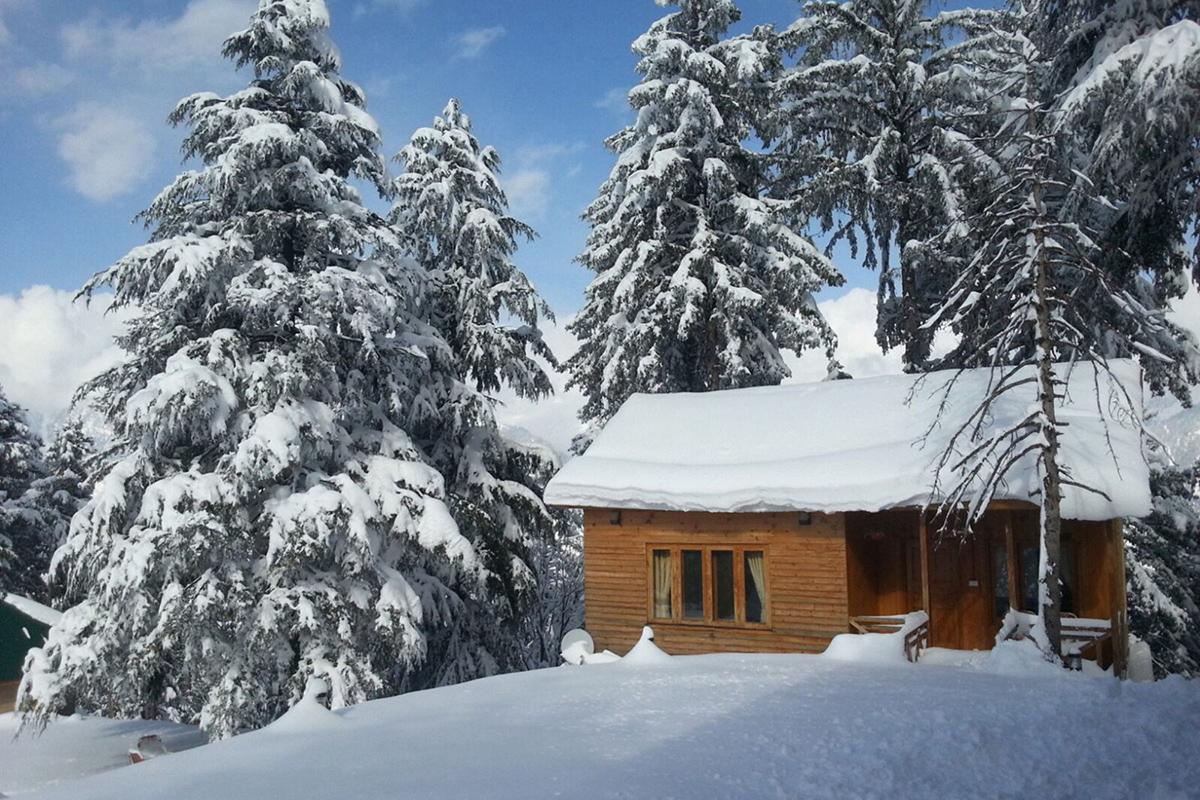 Hotel Arcadian Sprucewoods Shogran Esterno foto