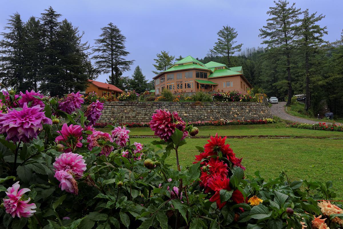 Hotel Arcadian Sprucewoods Shogran Esterno foto