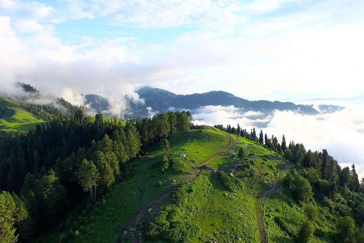 Hotel Arcadian Sprucewoods Shogran Esterno foto
